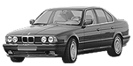 BMW E34 P2650 Fault Code